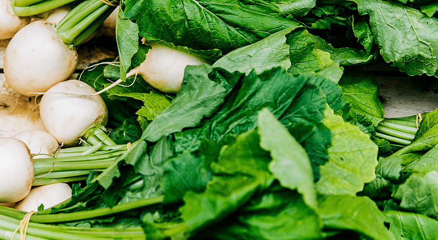 Radish white
