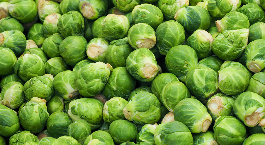 Brussels Sprouts